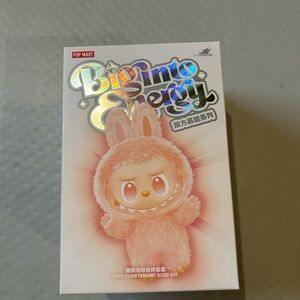 Sealed Labubu Secret ID